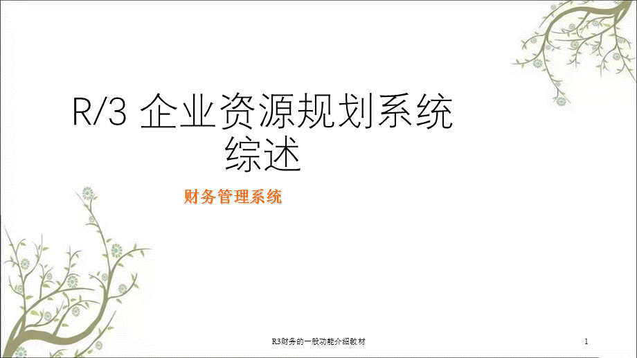 R3财务的一般功能介绍教材课件.ppt_第1页