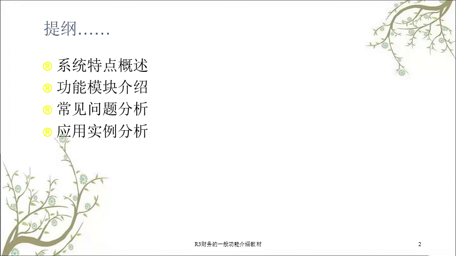 R3财务的一般功能介绍教材课件.ppt_第2页