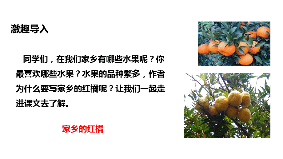 三年级上册语文课件-6家乡的红橘∣西师大版.pptx_第2页