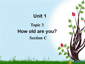 仁爱版七年级英语上册 Unit 1 Topic 3 Section C 课件2.ppt