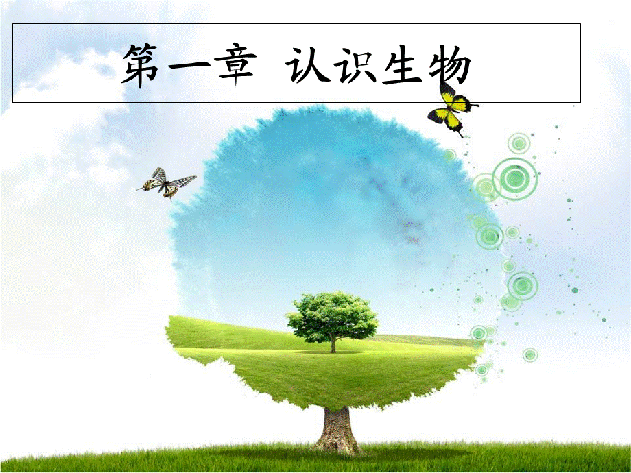 人教版初中生物第1章第1节生物的特征.ppt_第2页