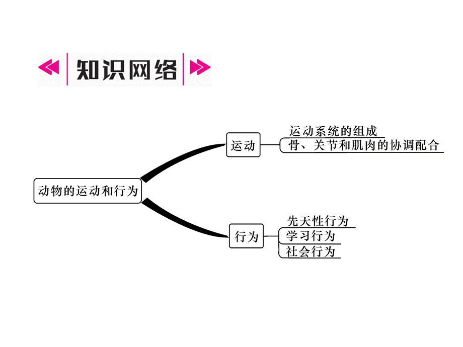 2018年秋人教版八年级生物上册精英同步作业课件：5.2.1 动物的运动.ppt_第2页