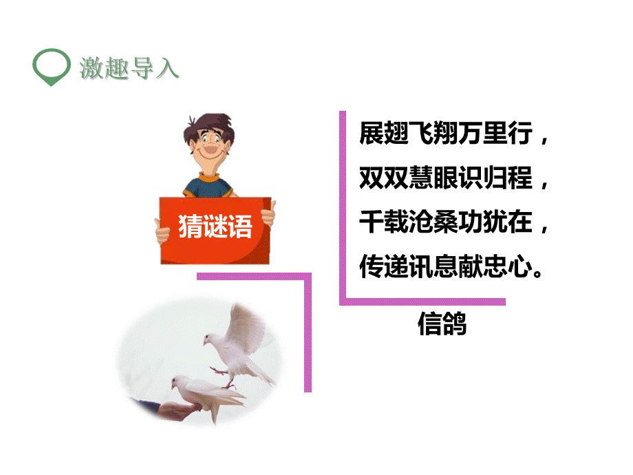 三年级下册语文课件-第二单元雪儿∣苏教版 .pptx_第2页