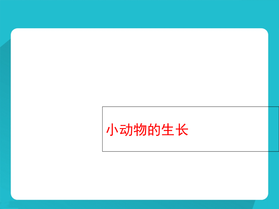 四年级下册科学课件－《小动物的生长》｜冀教版 (共16.ppt).ppt_第1页