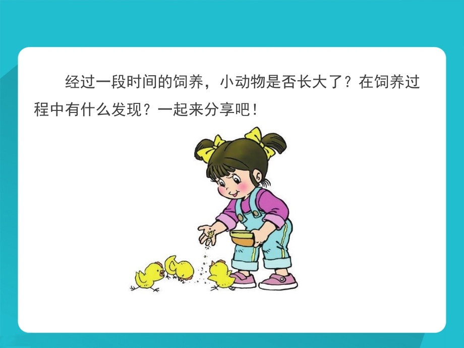 四年级下册科学课件－《小动物的生长》｜冀教版 (共16.ppt).ppt_第2页