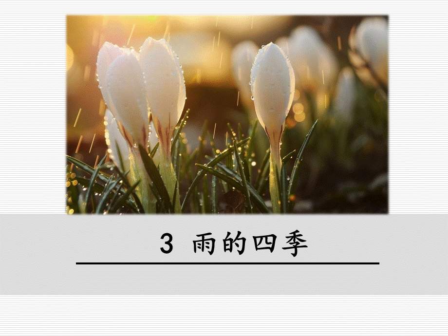 《雨的四季》ppt教学课件（经典实用）.ppt_第1页