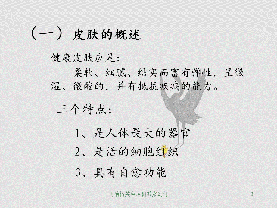 再清椿美容培训教案幻灯.ppt_第3页