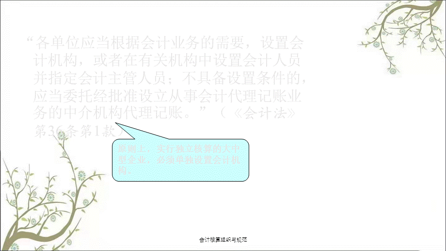 会计核算组织与规范课件.ppt_第3页