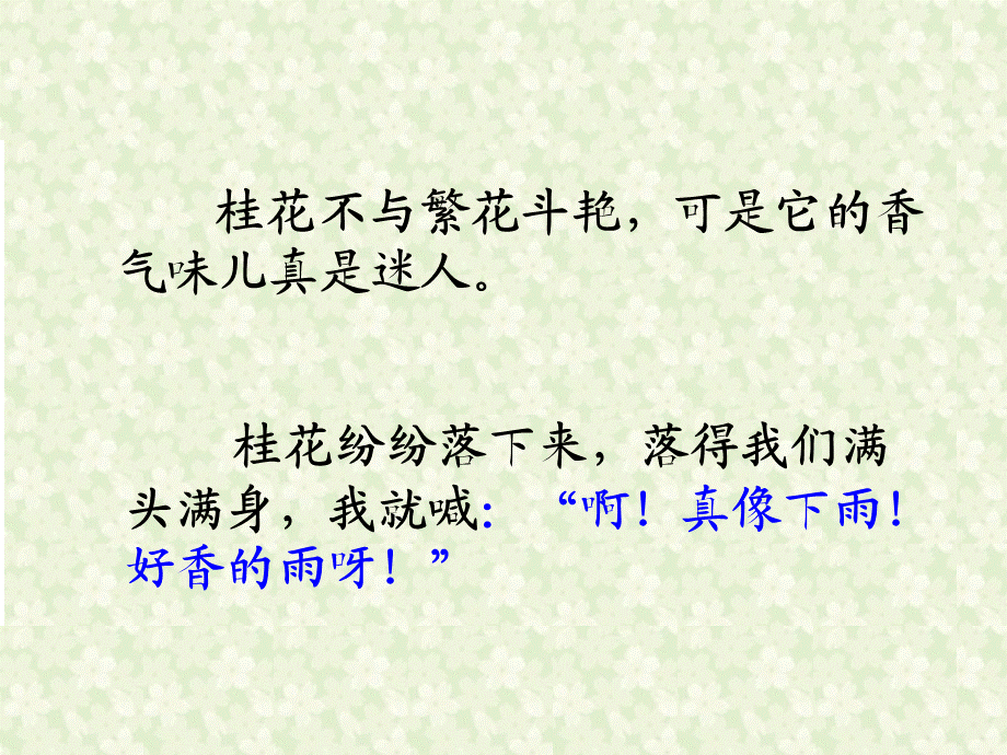 桂花雨(修改）课件.ppt_第2页