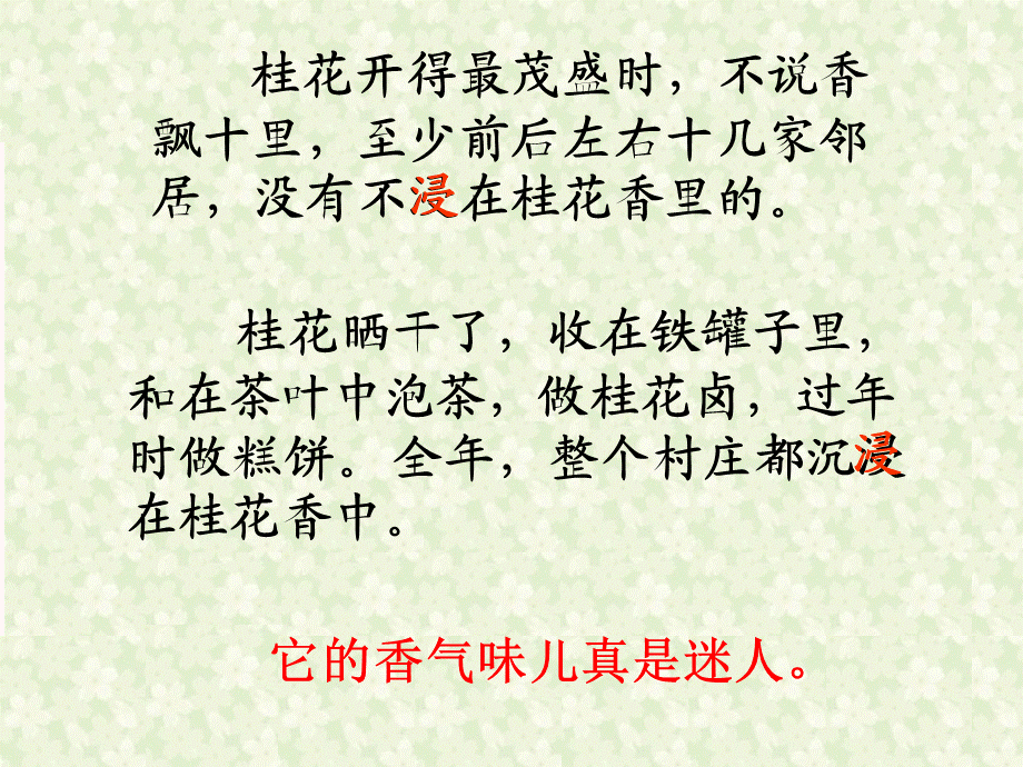 桂花雨(修改）课件.ppt_第3页