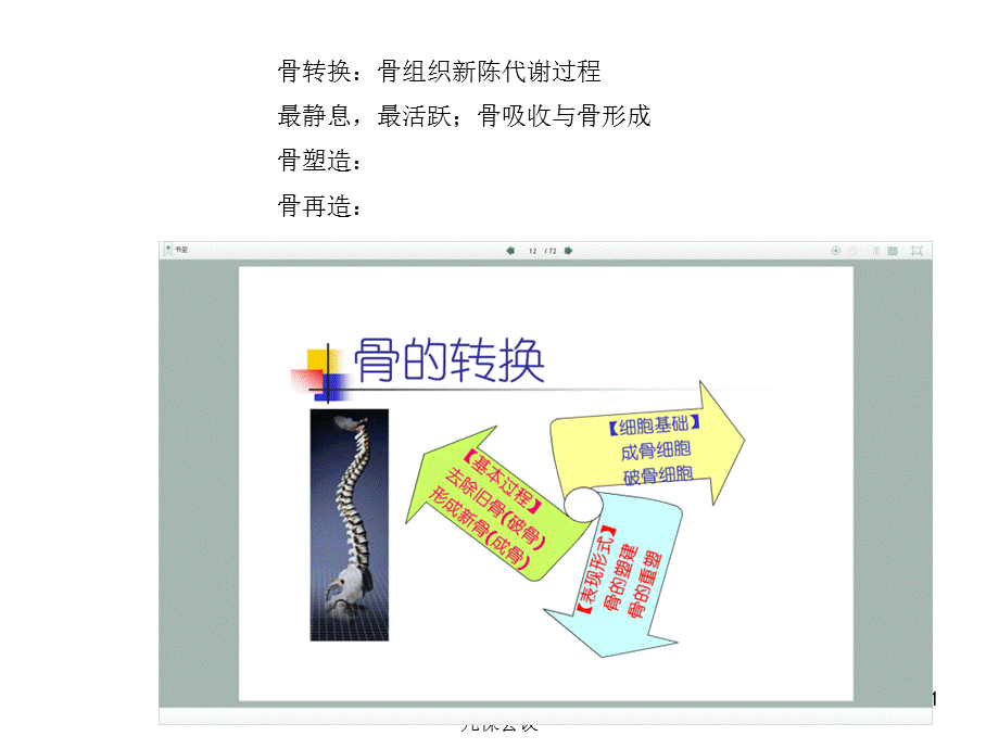 儿童骨健康和维生素D新进展-西安儿保会议课件.ppt_第1页