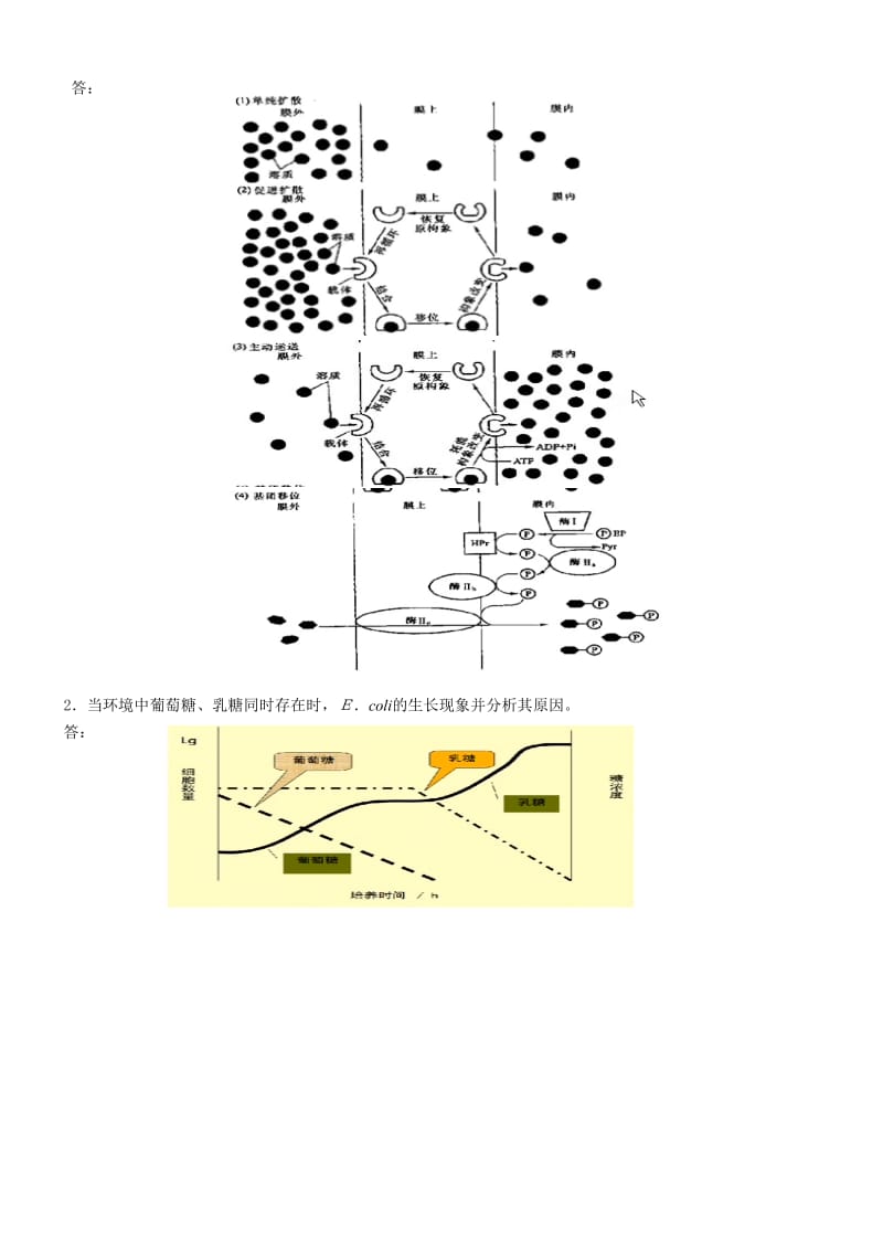 食品微生物学第1阶段测试题1b答案.doc_第2页