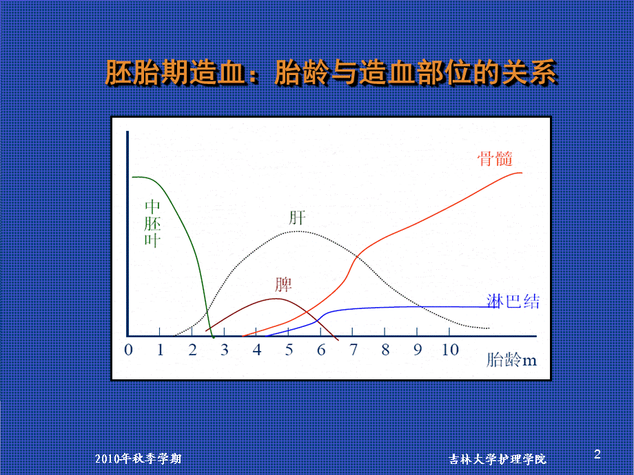 营养性缺铁性贫血患儿的护理.ppt_第2页