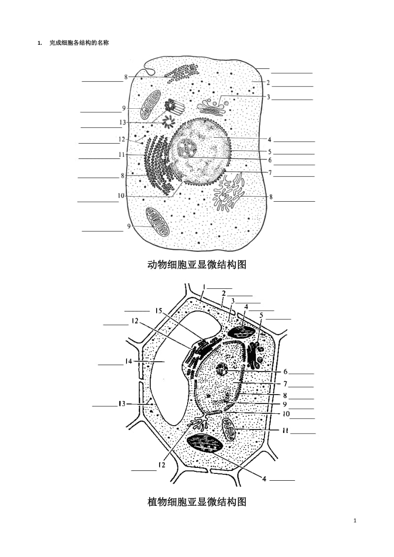 高中生物动植物细胞模式图及细胞结构的比较.doc_第1页