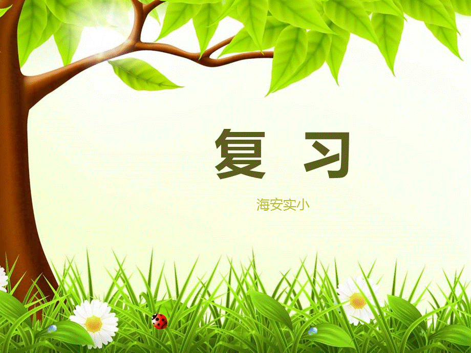 复习（二）.ppt_第1页