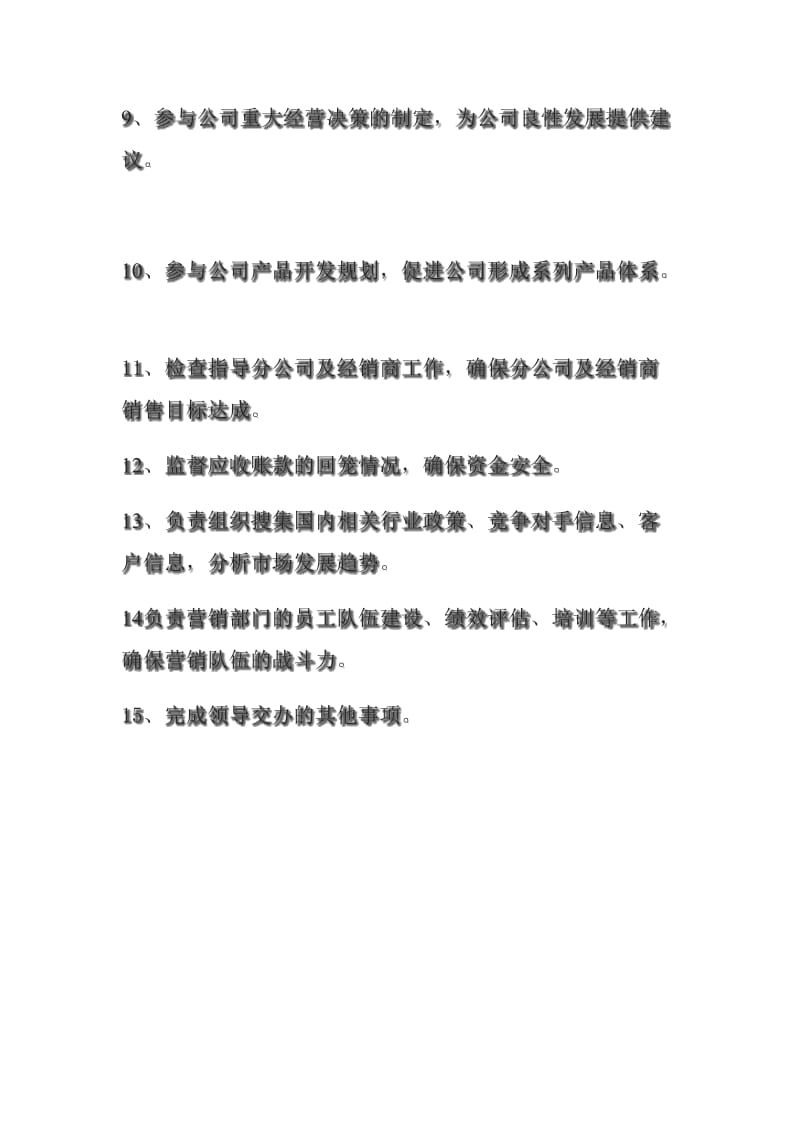 营销总经理岗位职责.docx_第2页