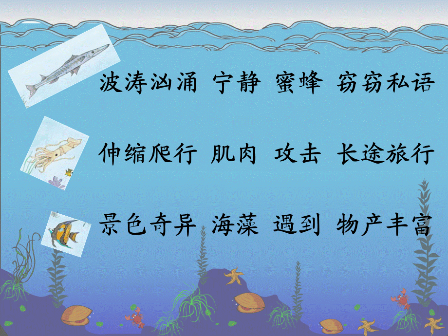 林文兰《海底世界》.ppt_第3页