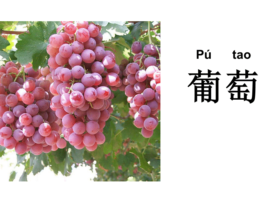 优秀课件酸的和甜的.ppt_第2页