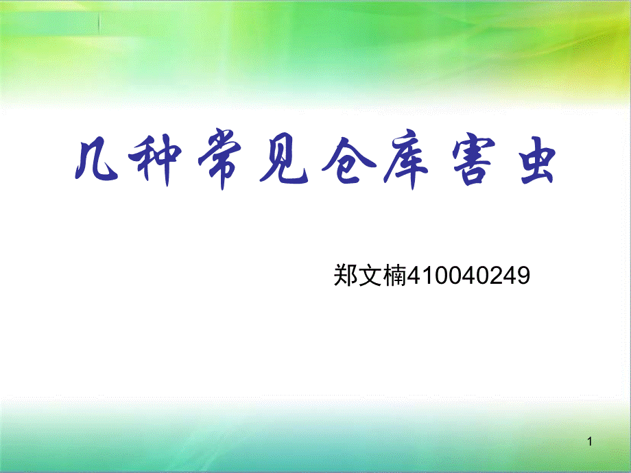 几种常见仓库害虫PPT课件.ppt_第1页