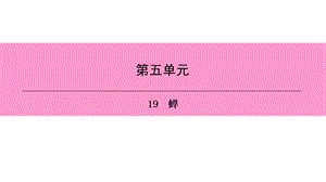 人教部编版语文八年级上册课件：19　蝉 (共26张PPT).ppt