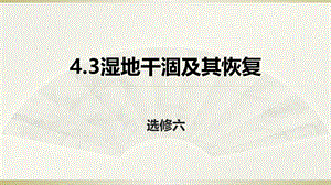 人教地理高二选修6 4.3湿地干涸及其恢复课件 .pptx