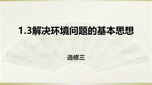 人教地理高二选修6 1.3解决环境问题的基本思想课件 .pptx