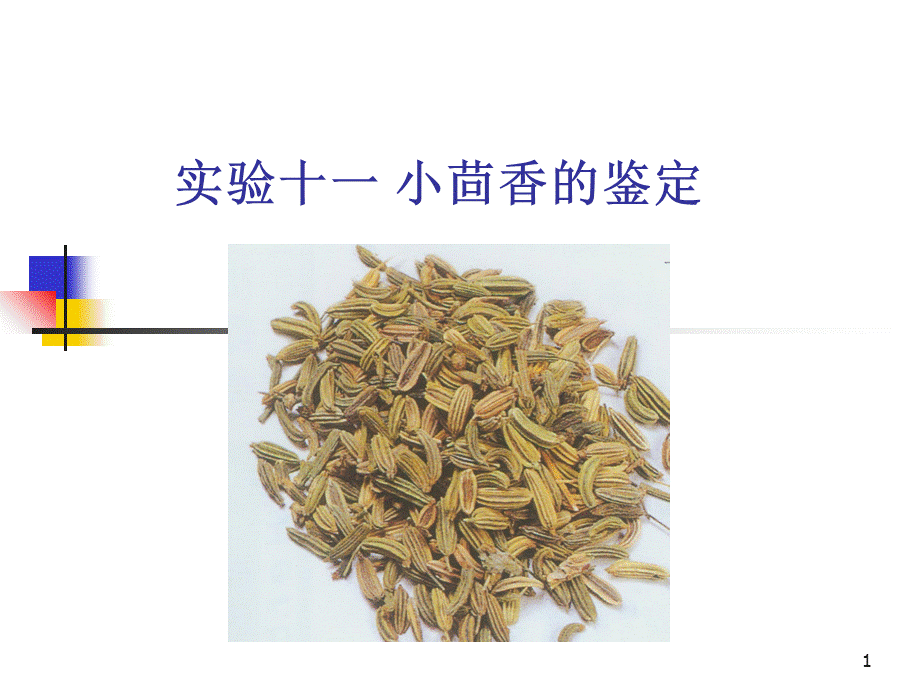 实验十一-小茴香的鉴定.ppt_第1页