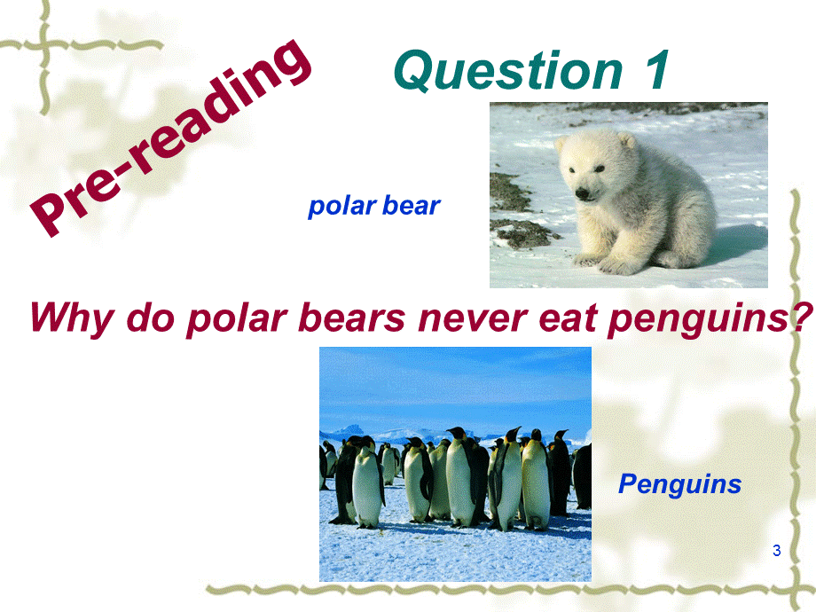 A-Race-To-The-South-Pole.ppt_第3页