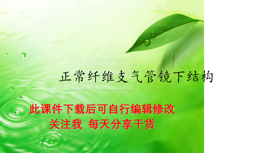 正常纤维支气管镜下结构（精选PPT干货).ppt_第1页