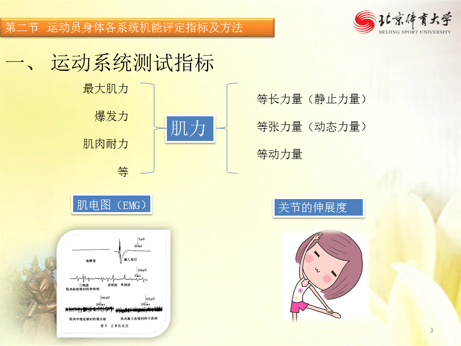 17运动机能的生理学评定.pptx_第3页