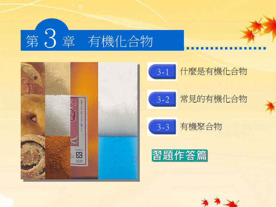 【最新】九年级化学 8.1什么是有机化合物沪教版 课件.ppt_第1页