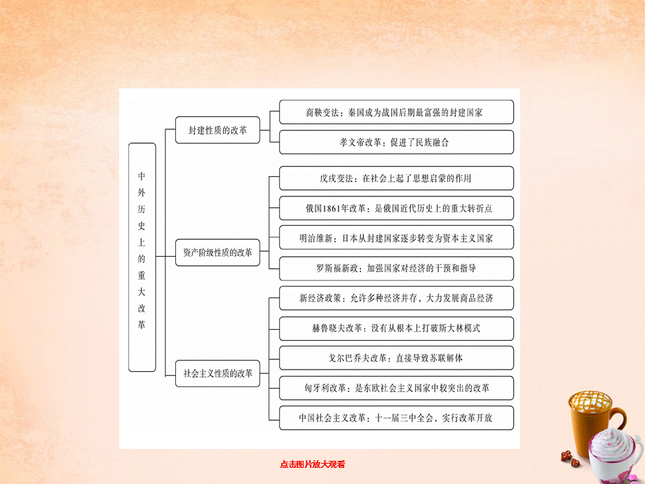 【最新】中考历史 专题突破五 中外历史上的重大改革复习课件-人教版初中九年级全册历史课件.ppt_第2页