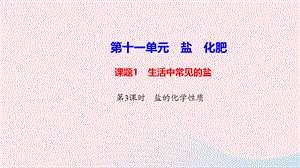 【最新】九年级化学下册 第十一单元 盐 化肥课题1 生活中常见的盐第3课时 盐的化学性质课件 新人教版-新人教版初中九年级下册化学课件.ppt