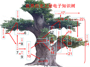 【最新】九年级历史上册 电子知识树课件 人教新课标版 课件.ppt