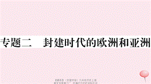 【最新】九年级历史上册 期末专题复习二 封建时代的欧洲和亚洲习题课件 新人教版-新人教版初中九年级上册历史课件.ppt