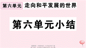 【最新】九年级历史下册 第六单元 走向和平发展的世界小结习题课件 新人教版-新人教版初中九年级下册历史课件.ppt