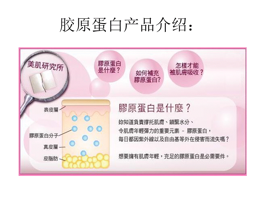 胶原蛋白产品介绍.ppt_第1页