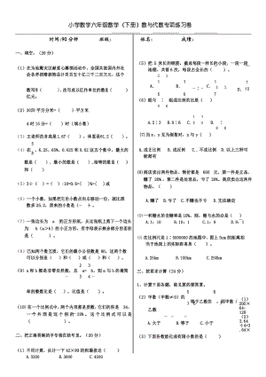 小学数学六年级数学(下册)数与代数专项练习卷.docx