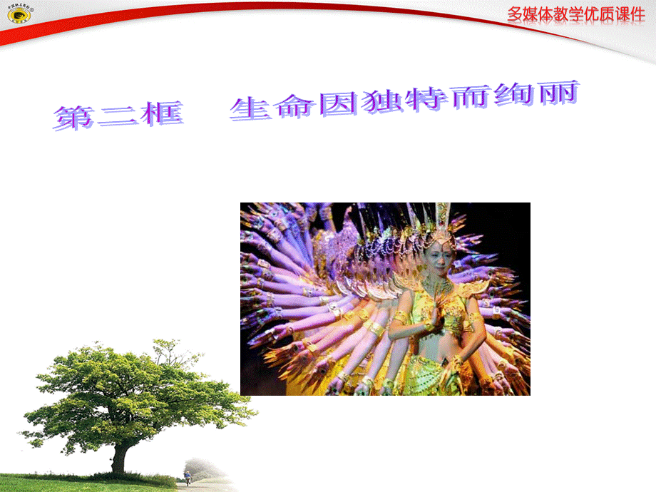 生命因独特而绚丽[1].ppt_第1页