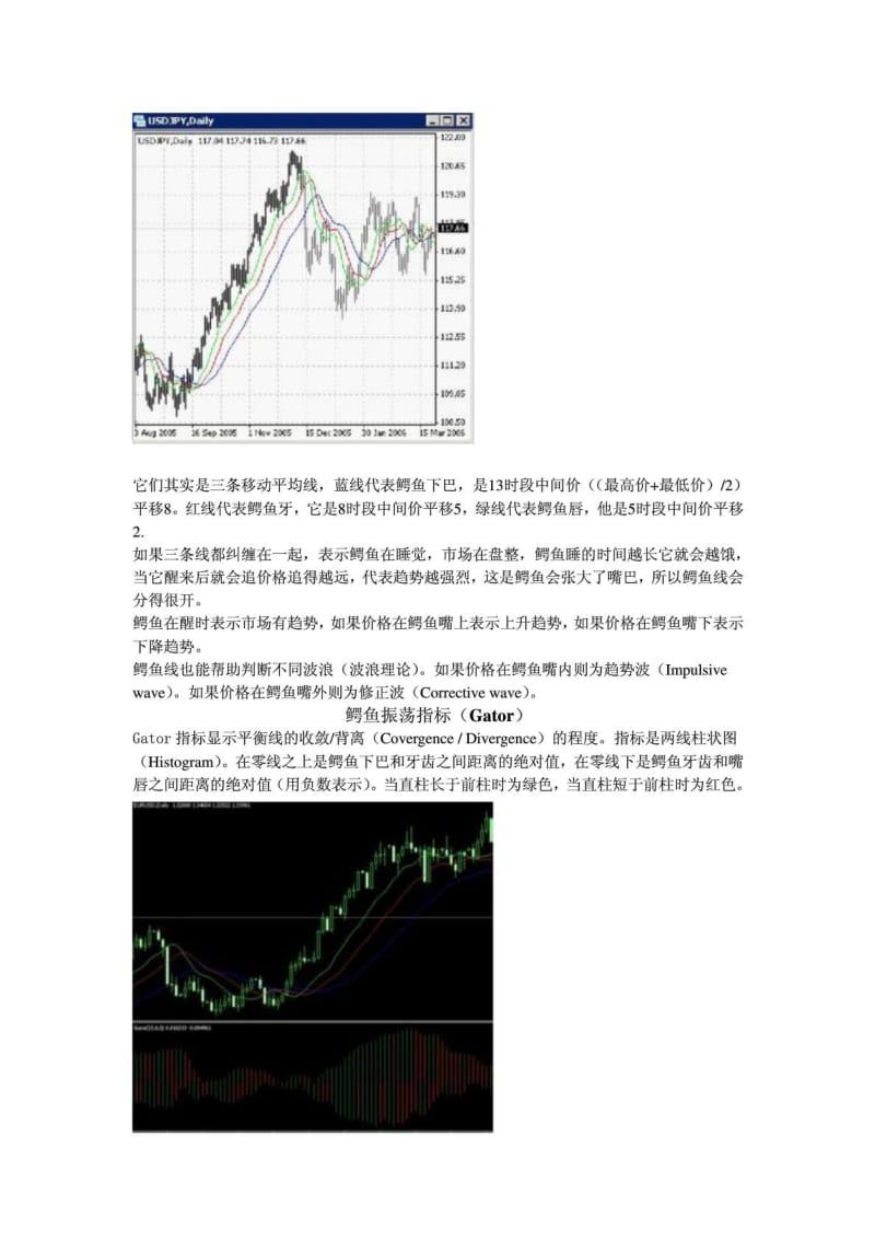 比尔威廉姆斯的混沌理论.doc_第2页