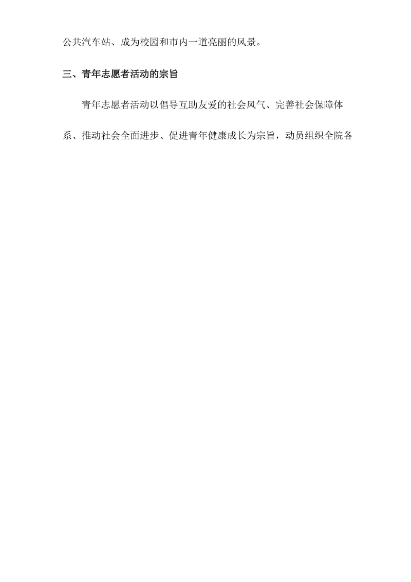 志愿者活动计划方案.docx_第2页