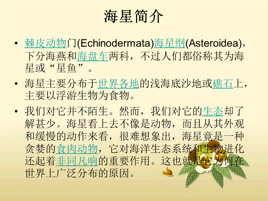 海星生活一览.ppt_第3页