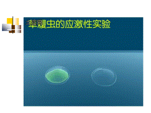 第三讲 细胞信号转导1.ppt