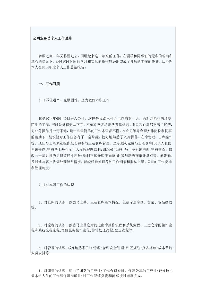 公司业务员个人工作总结.docx_第1页