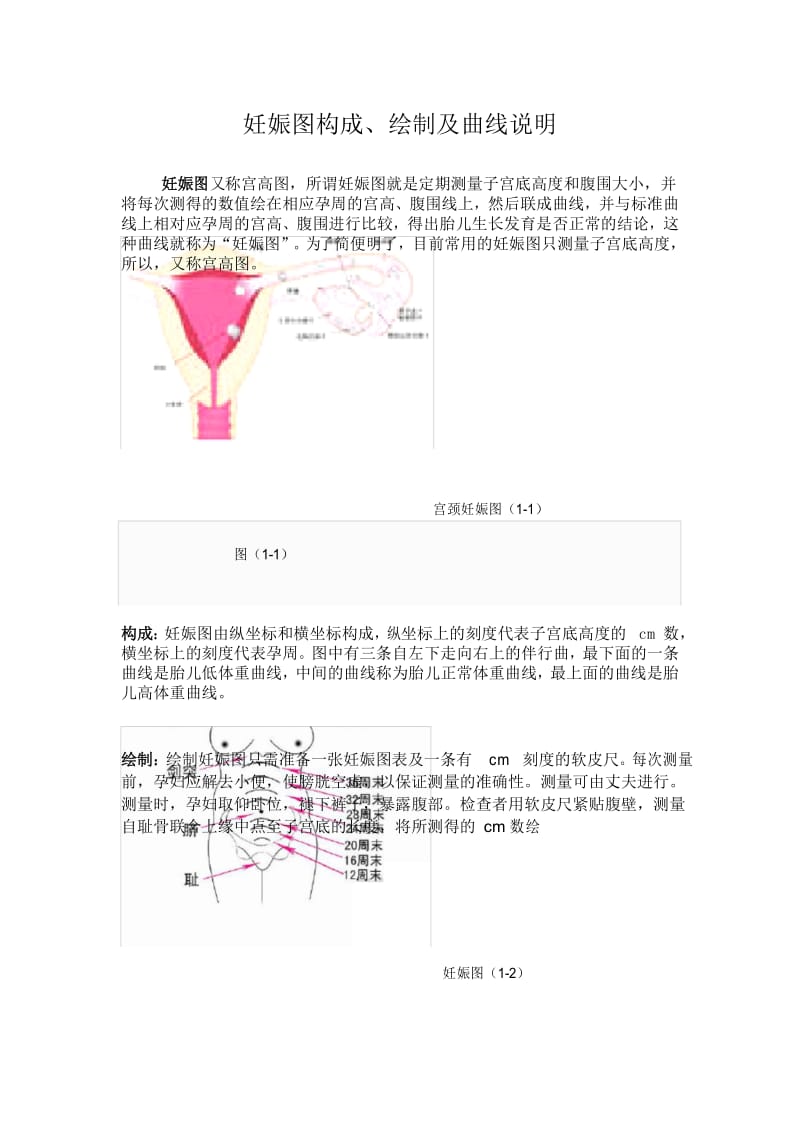 (完整版)妊娠图构成.docx_第1页