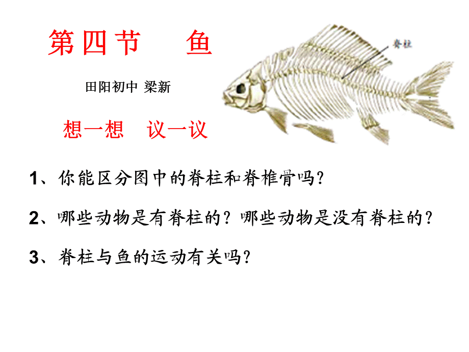 第一章第四节鱼.ppt_第1页