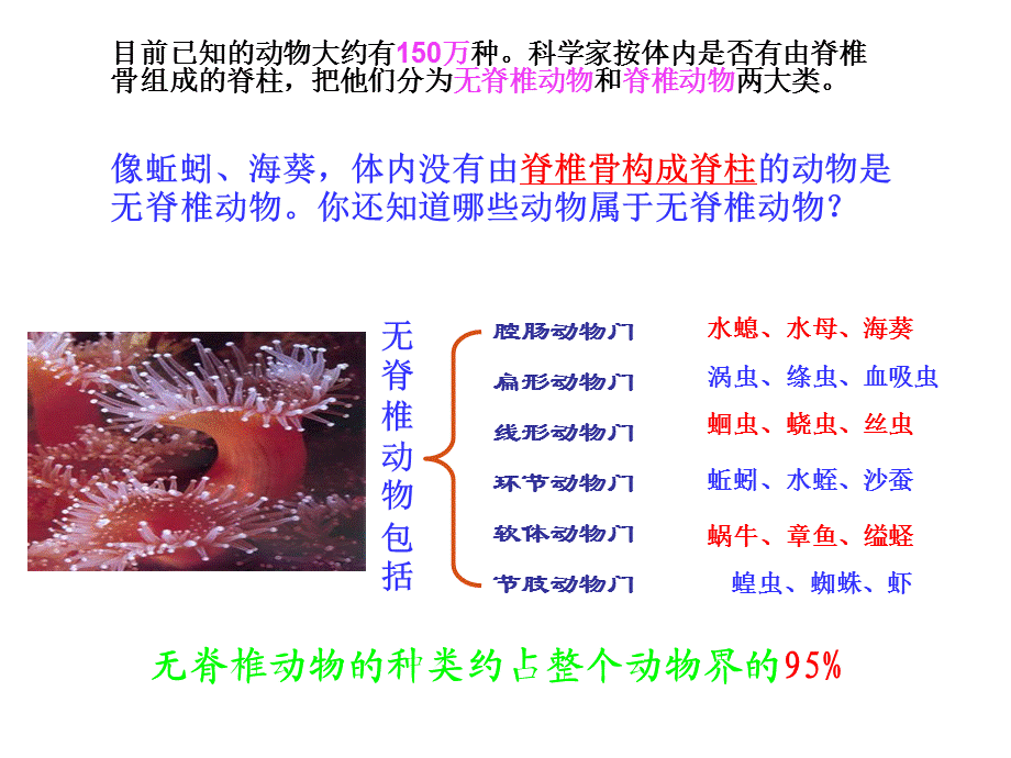 第一章第四节鱼.ppt_第2页