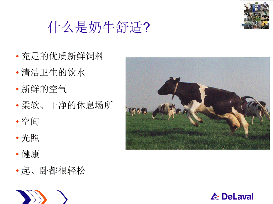 奶牛舒适的方案.ppt_第3页