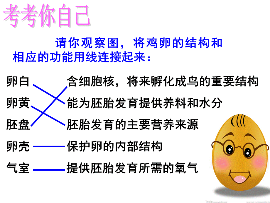 科学·技术·社会带你参观养鸡场.pptx_第2页