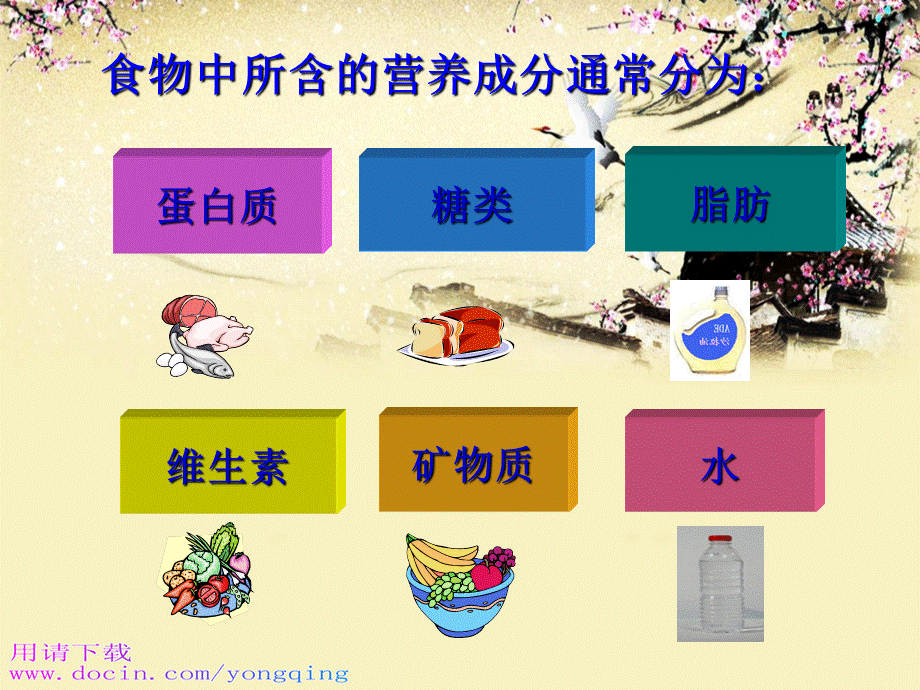 苏教版小学科学四年级上册《怎样搭配食物》PPT课件之二.ppt_第3页